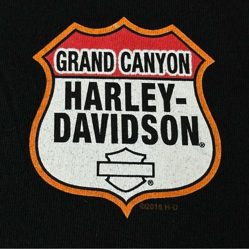 HARLEY-DAVIDSON Motorcycles Black Grand Canyon Tshirt Men’s Size 2XL